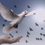 自由に使えるお金どのくらいありますか？夫婦のお小遣い事情