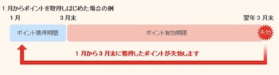 リサーチパネルで貯めたポイントの失効例